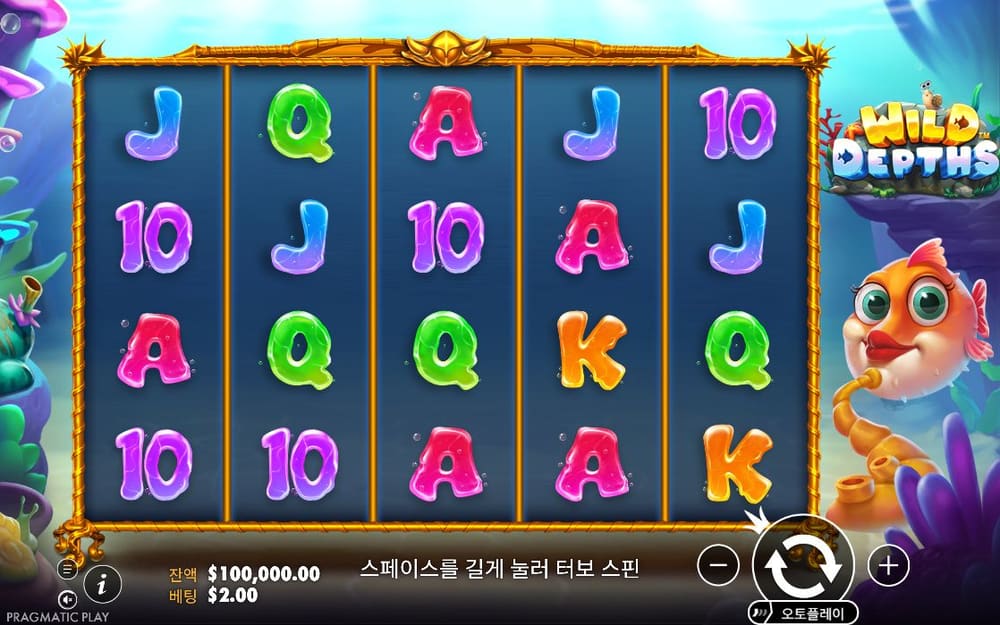 와일드 뎁스 기본 보드와 하단 조작부 실제 화면