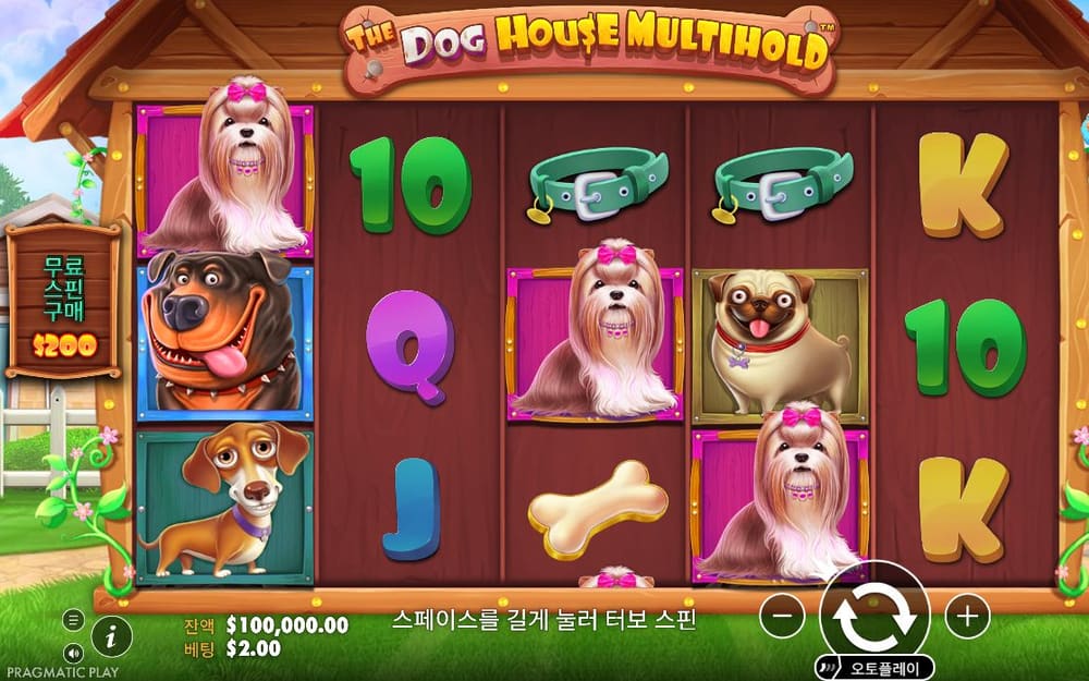 더 도그 하우스 멀티홀드 밝아진 나무 릴에 푸들·퍼그·로트바일러 초상, 목줄과 10·K·Q 글자가 보입니다