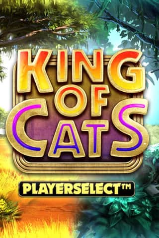 King Of Cats 게임 대표 이미지