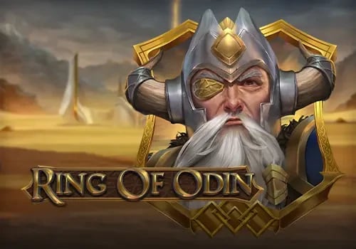 Ring of Odin 게임 대표 이미지