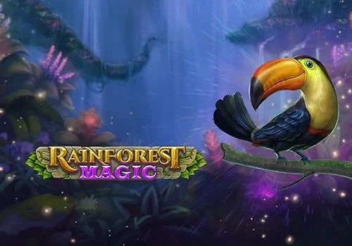Rainforest Magic 게임 대표 이미지