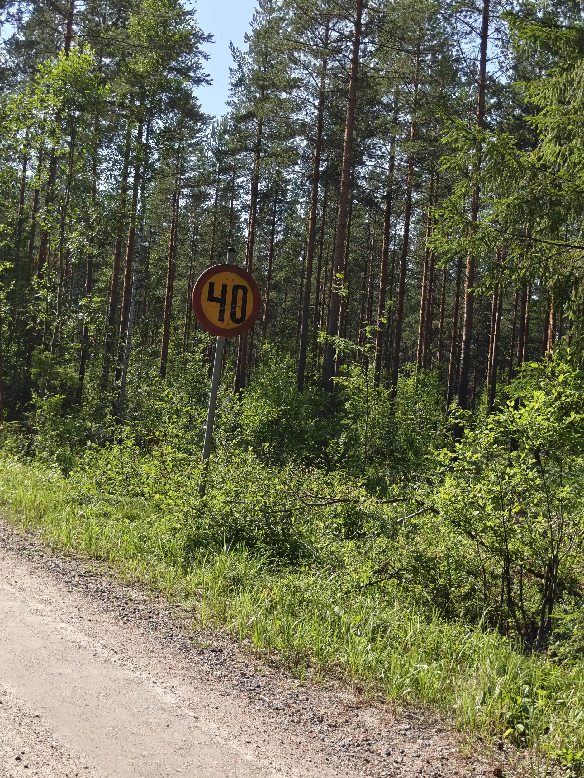 SelfMadeSpeedSign.webp