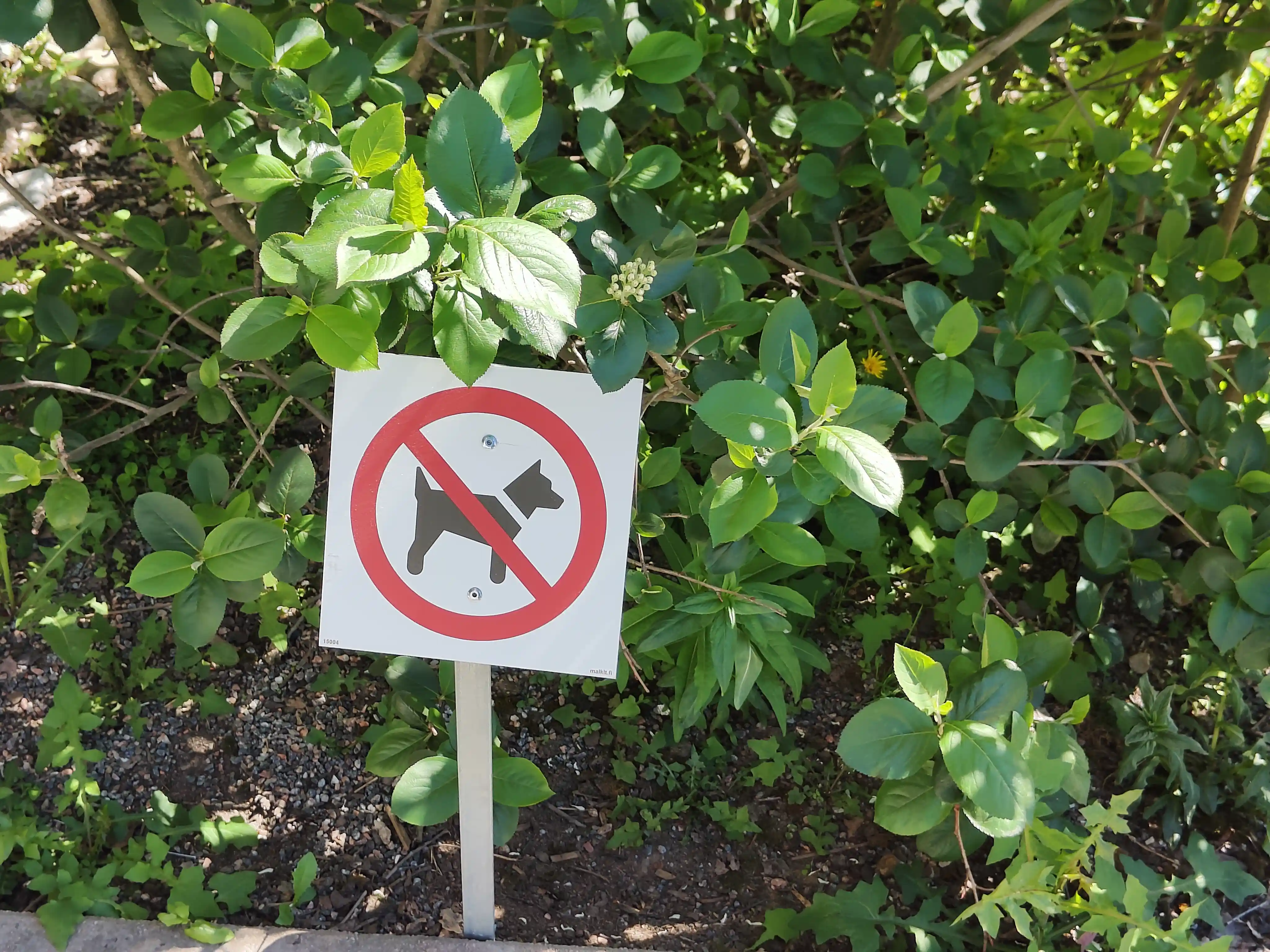 A generic no dogs -sign