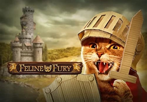 Feline Fury 게임 대표 이미지