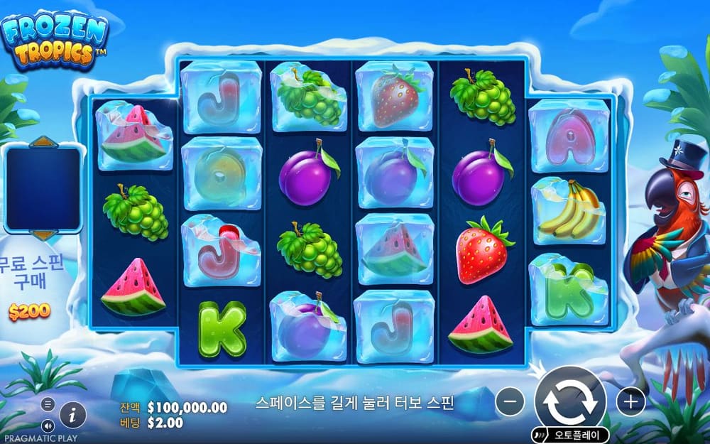프로즌 트로픽스 과일 배열과 빈 듯한 푸른 얼음 칸이 섞여 있지만 금액 강조 표시는 없습니다