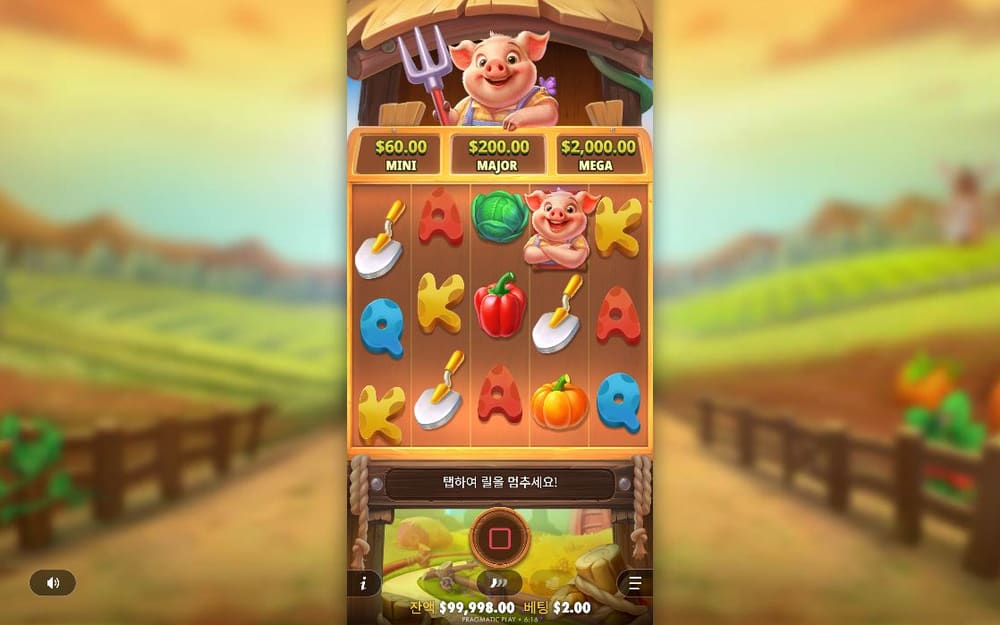 피그 팜 첫 번째 스핀 진행 중 실제 화면