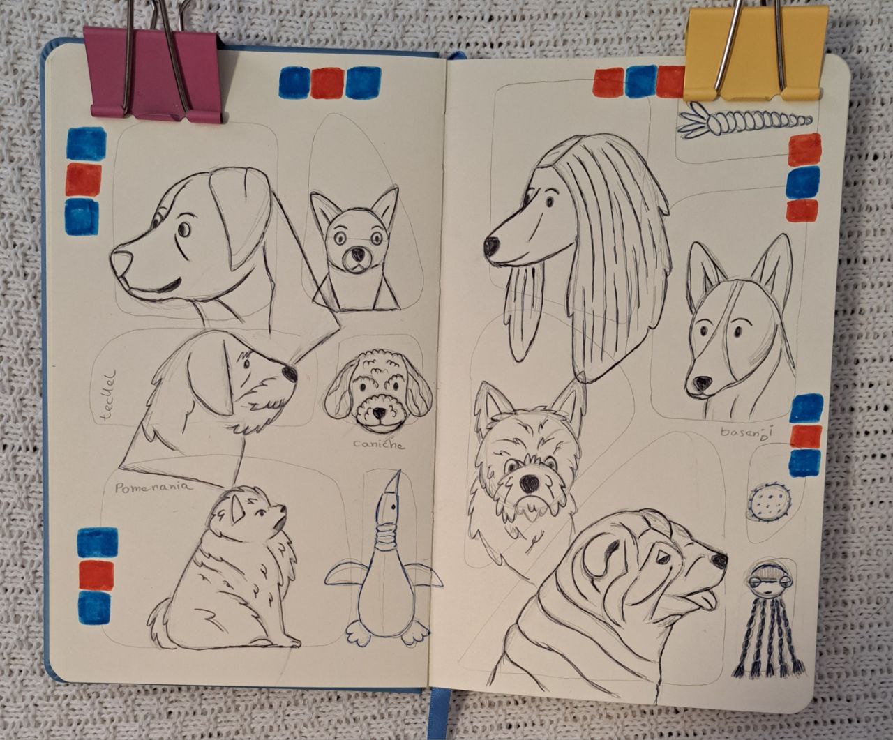 photo_2024-05-09_17-37-16