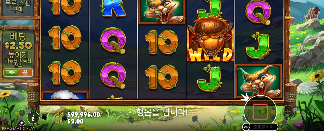 들소 WILD와 붉은 정지 버튼이 보이는 릴리즈 더 바이슨 진행 장면