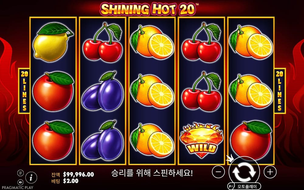 샤이닝 핫 20 와일드가 보이는 정지 결과