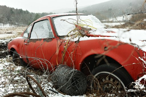 car in field