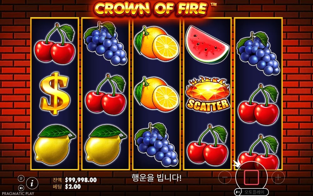 크라운 오브 파이어 포도와 스캐터가 멈춘 첫 결과