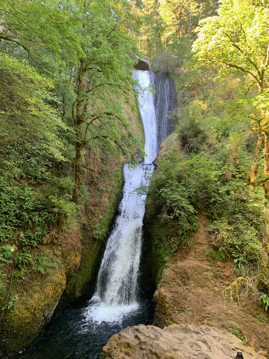 bridal_veil.jpeg