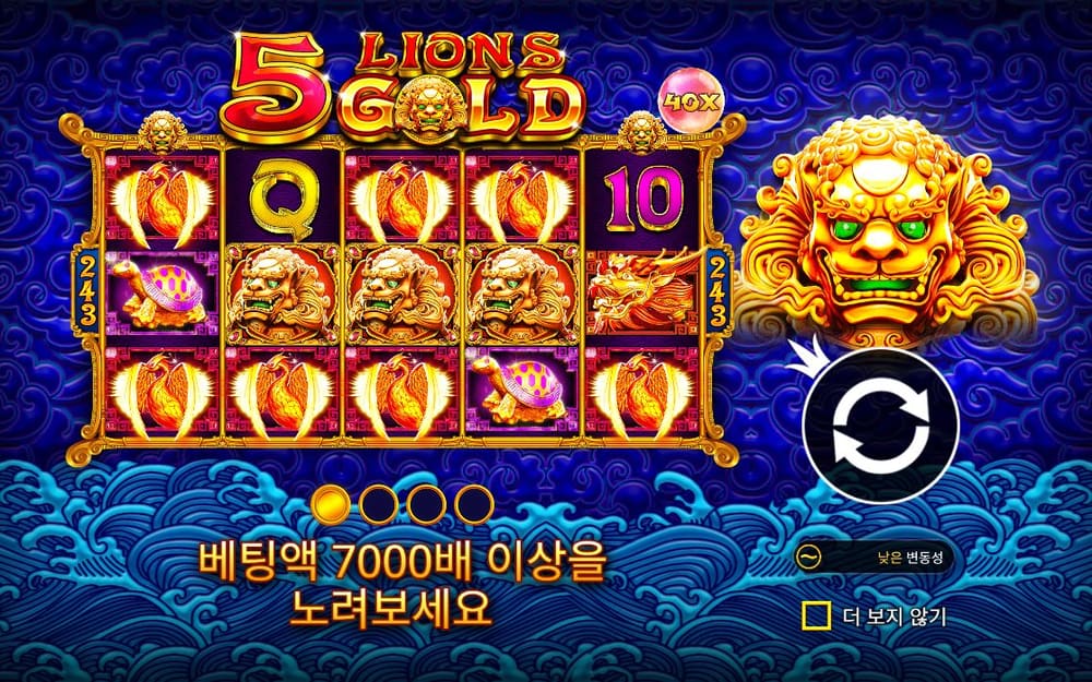 5 라이온스 골드 연꽃·사자·Q·10이 붉은 릴 칸에 새 배열로 놓입니다