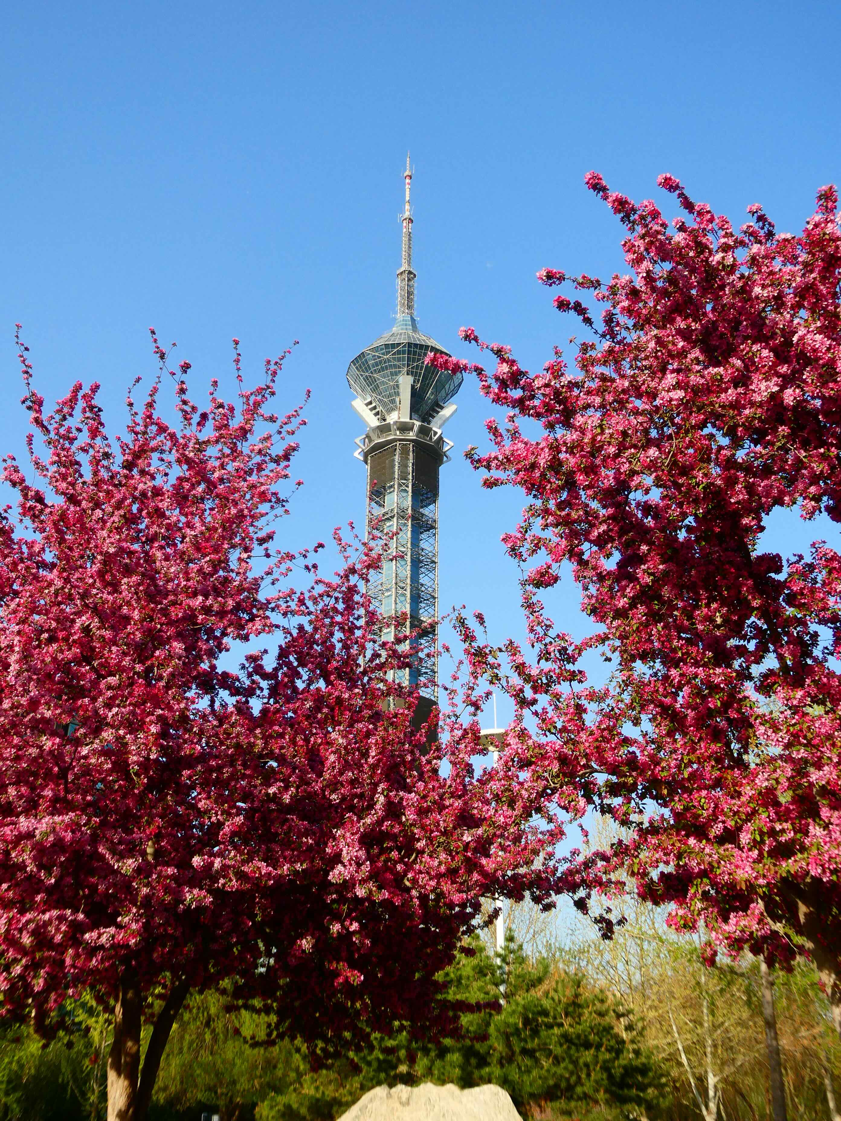 tower in spring.jpeg