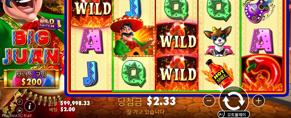 두 개의 대형 WILD와 당첨금 2.33이 보이는 빅 후안 결과