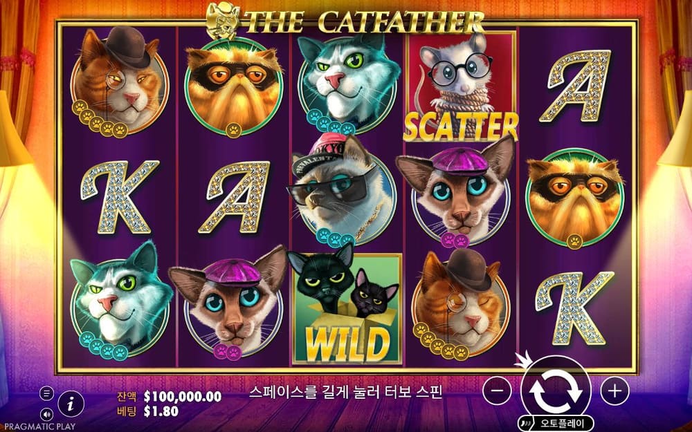 더 캣파더 첫 번째 스핀 정지 결과 실제 화면