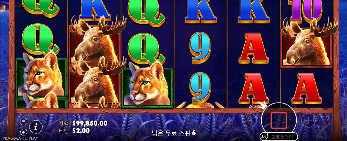 남은 무료 스핀 6회와 동물 심볼이 함께 보이는 Buffalo King 프리스핀 화면