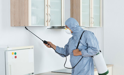 knockdown pest.jpg