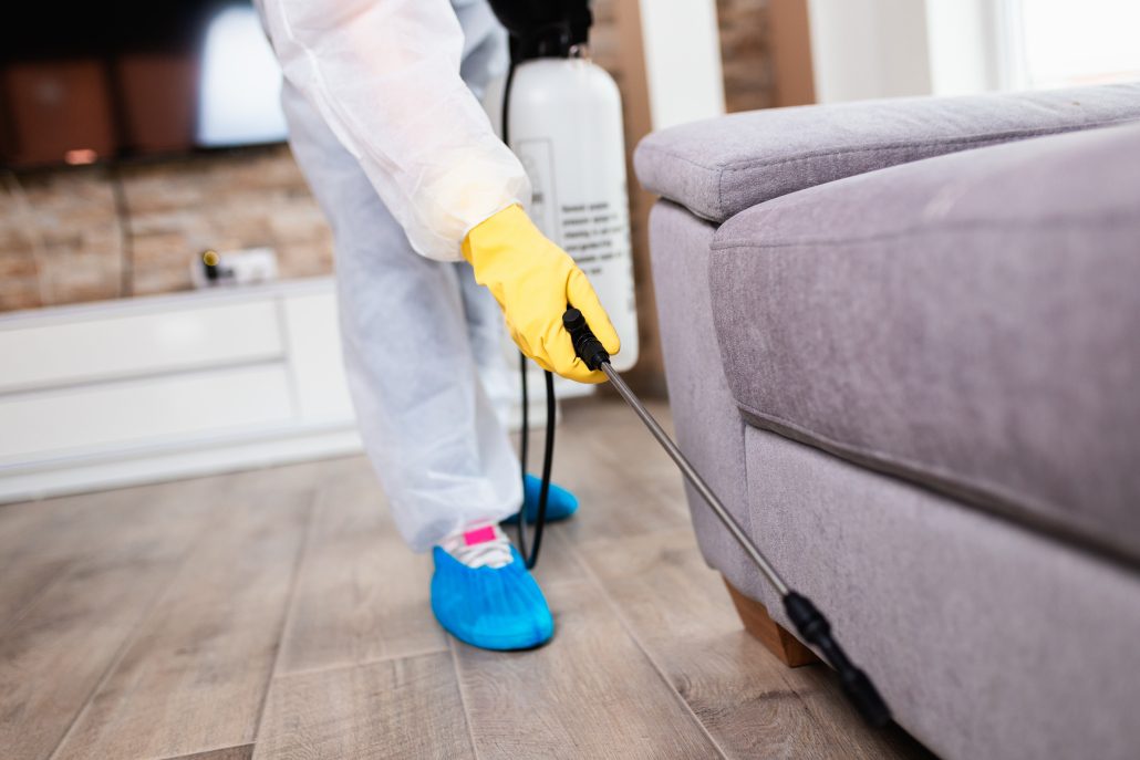 Strata Pest Control Central Coast.jpg