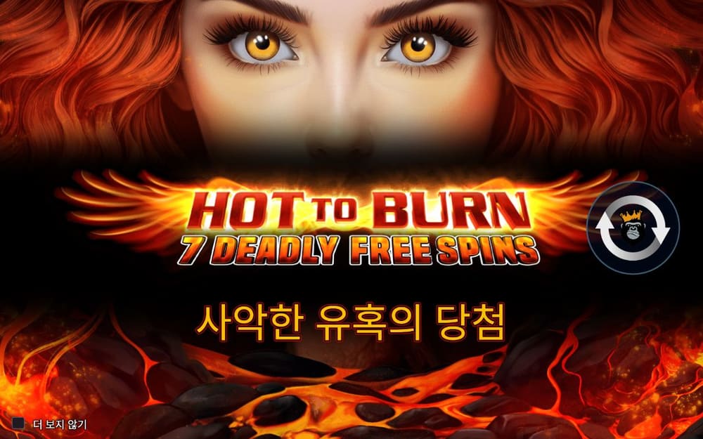 핫 투 번 첫 번째 스핀 정지 결과 실제 화면