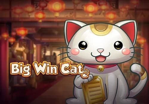 Big Win Cat 게임 대표 이미지