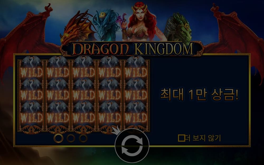 드래곤 킹덤 기본 보드와 하단 조작부 실제 화면