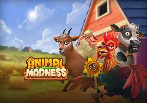 Animal Madness 게임 대표 이미지