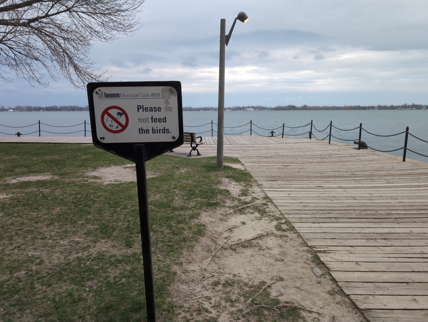 Photo of a Government of Toronto sign against the edge of a park on the waterfront of Lake Ontario. The sign has a red prohibition sign over a graphic of a hand throwing pellets towards some birds including a seagull and a Canada goose, and reads “Please do not feed the birds.” The words “do not” have had their blue letters peeled off, showing only some remaining grey residue in the shape of those letters.