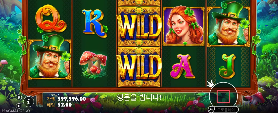 스택 WILD와 붉은 정지 버튼이 함께 보이는 클로버 골드