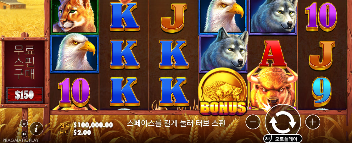 Buffalo King 초원 배경과 전체 릴이 보이는 원작 기본 화면
