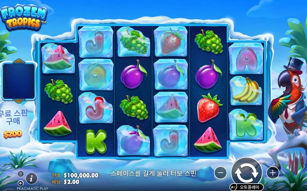 프로즌 트로픽스 FROZEN TROPICS 로고 아래 푸른 얼음 테두리와 과일 심볼 배열이 그대로 남아 있습니다