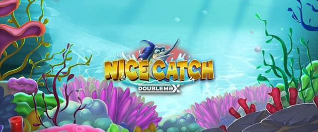 Nice Catch DoubleMax™ 게임 대표 이미지