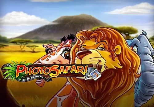 Photo Safari 게임 대표 이미지